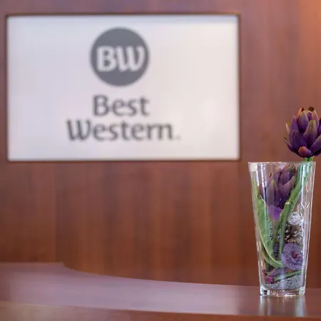 Western Macrander Frankfurt/kaiserlei Hotel